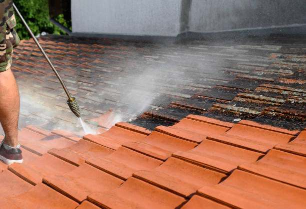 Best Best Pressure Washing Companies  in Aust, IN