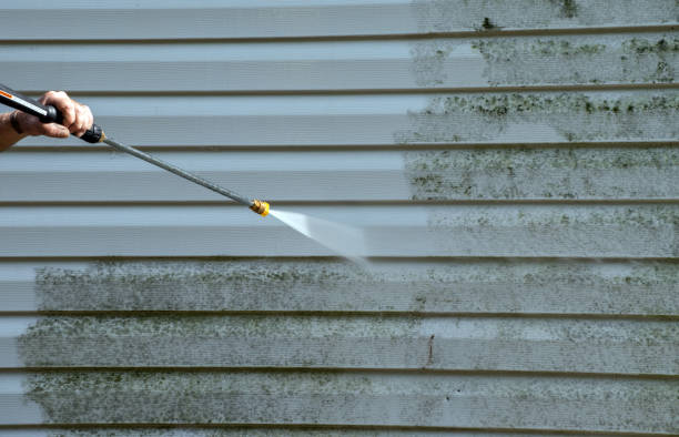 Best Residential Pressure Washing Services  in Aust, IN