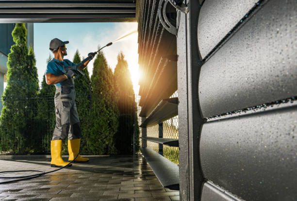 Best Roof Pressure Washing  in Aust, IN