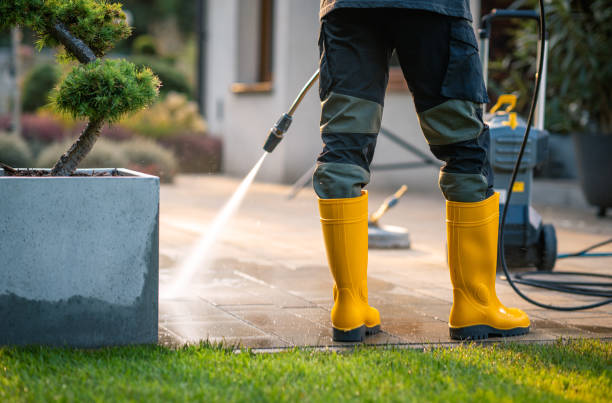 Best Affordable Pressure Washing  in Aust, IN